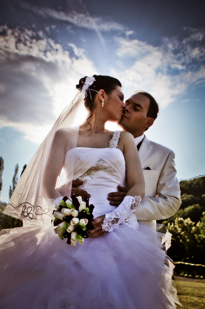 -img_6354.jpg