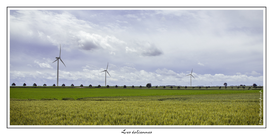 Tests d&#39;objectifs-2012-06-16_eoliennes-eos.jpg