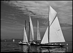 70-300 Sigma APO-3906.jpg