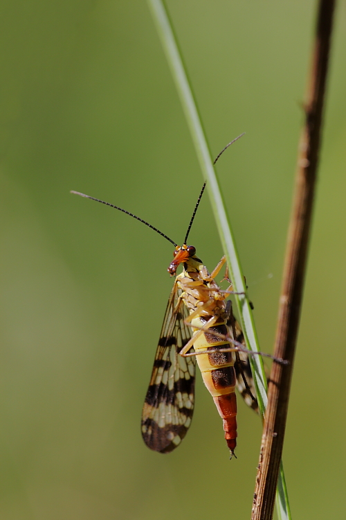 -eos_m_0157_11.jpg