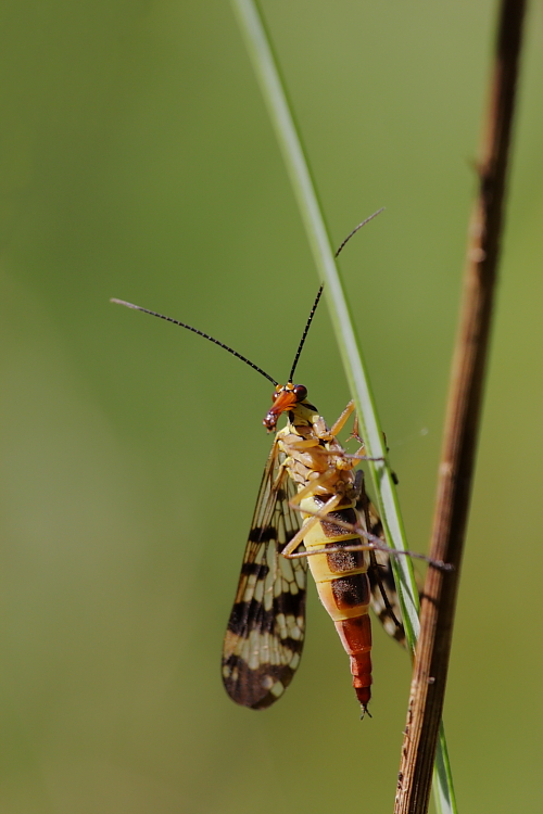 -eos_m_0157_11.jpg