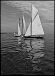70-300 Sigma APO-3907.jpg