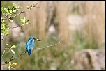70-300 Sigma APO-352.jpg