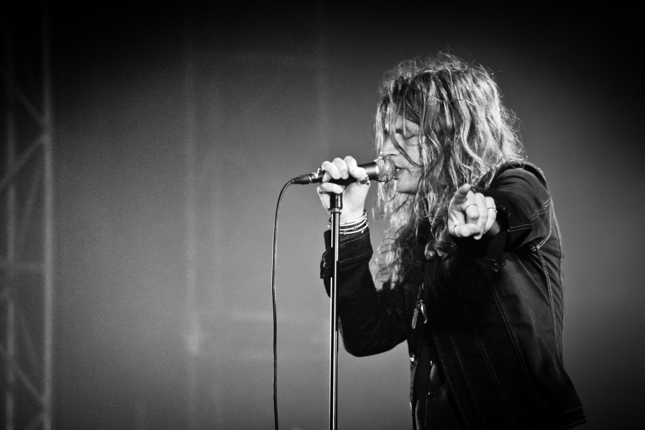 Rival Sons - Hellfest 2012