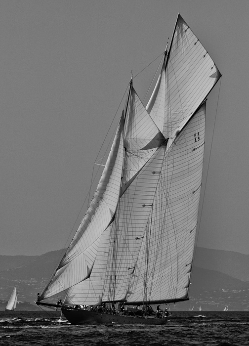 70-300 Sigma APO-3912.jpg
