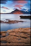 firmware-elgol-tout-court-mais-quand-meme-.jpg