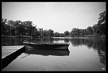 -img_0197.jpg