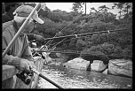 -img_0567.jpg