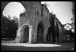 -img_0108.jpg
