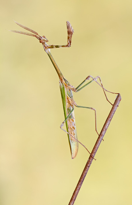 -img_3782.jpg