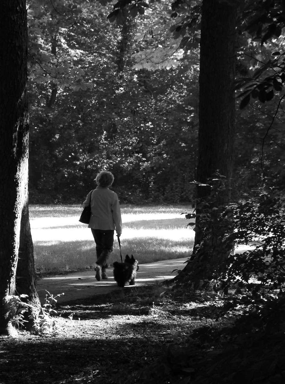 70-300 Sigma APO-img_2753_2.jpg