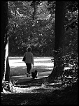 70-300 Sigma APO-img_2753_2.jpg