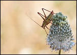 -img_5772000.jpg