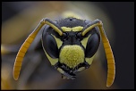 -2012-07-10-14.41.34-zs-final.jpg