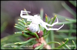 Sigma AF 28-200-4043.jpg