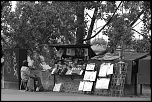 70-300 Sigma APO-img_2902.jpg