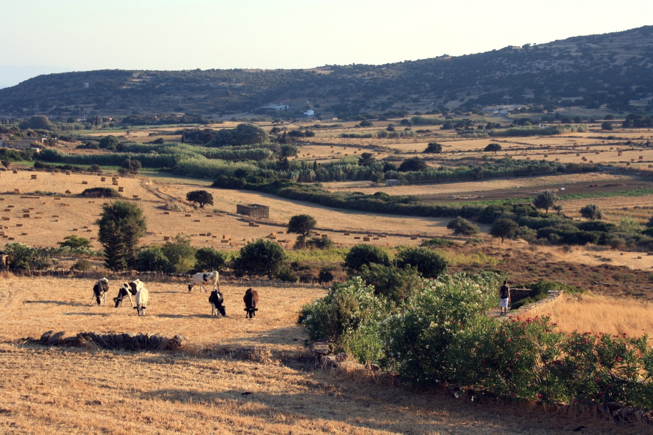 naxos & italie (691)