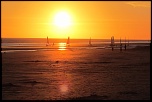 IMG 6075