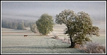 Petit matin givr