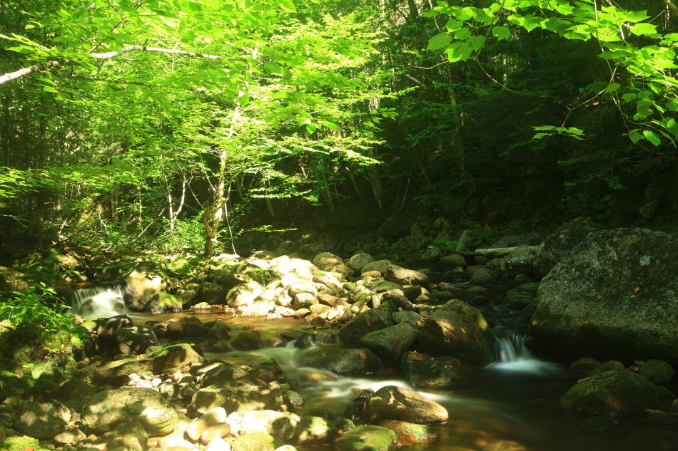 -zzxximg_3883b.jpg