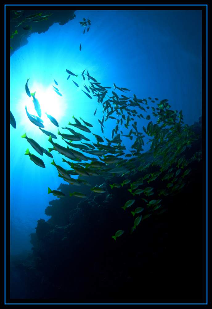 Firmware-4138.jpg