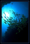 Firmware-4138.jpg