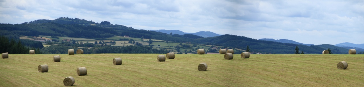 demande de retours d&#39;experience filtres-panorama-7.jpg