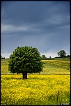 Paysages