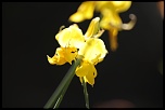 -img_7921.jpg