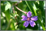 Logiciel DXO-139.jpg