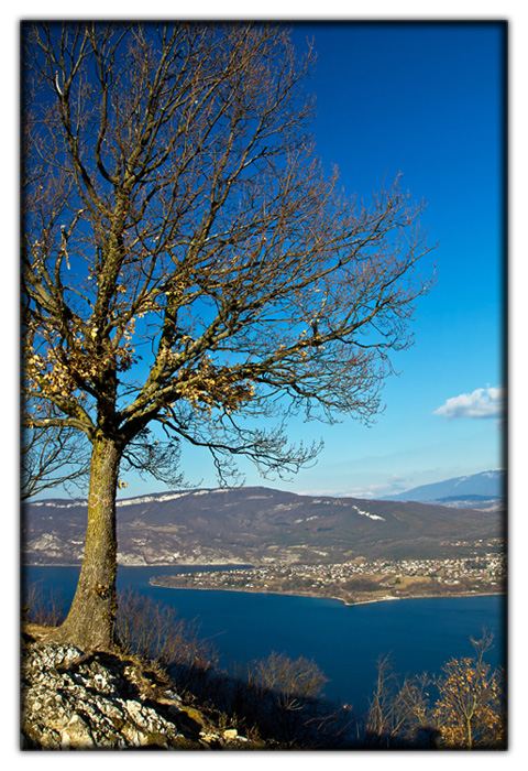 -img_5929_version2.jpg