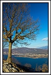 -img_5929_version2.jpg