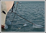 -_version2_img_5444.jpg