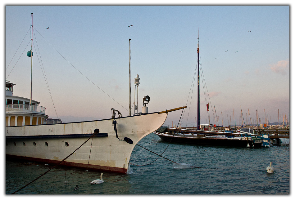 -_version2_img_5447.jpg