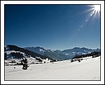 -_version2_img_5529.jpg