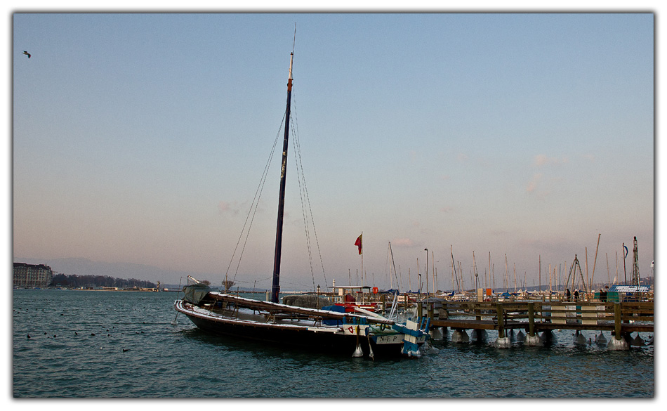 -_version2_img_5438.jpg