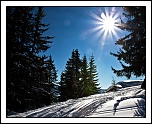 -_version2_img_5550.jpg