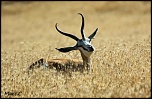 -img_7496-1.jpg