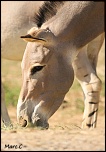 -img_7618-4.jpg