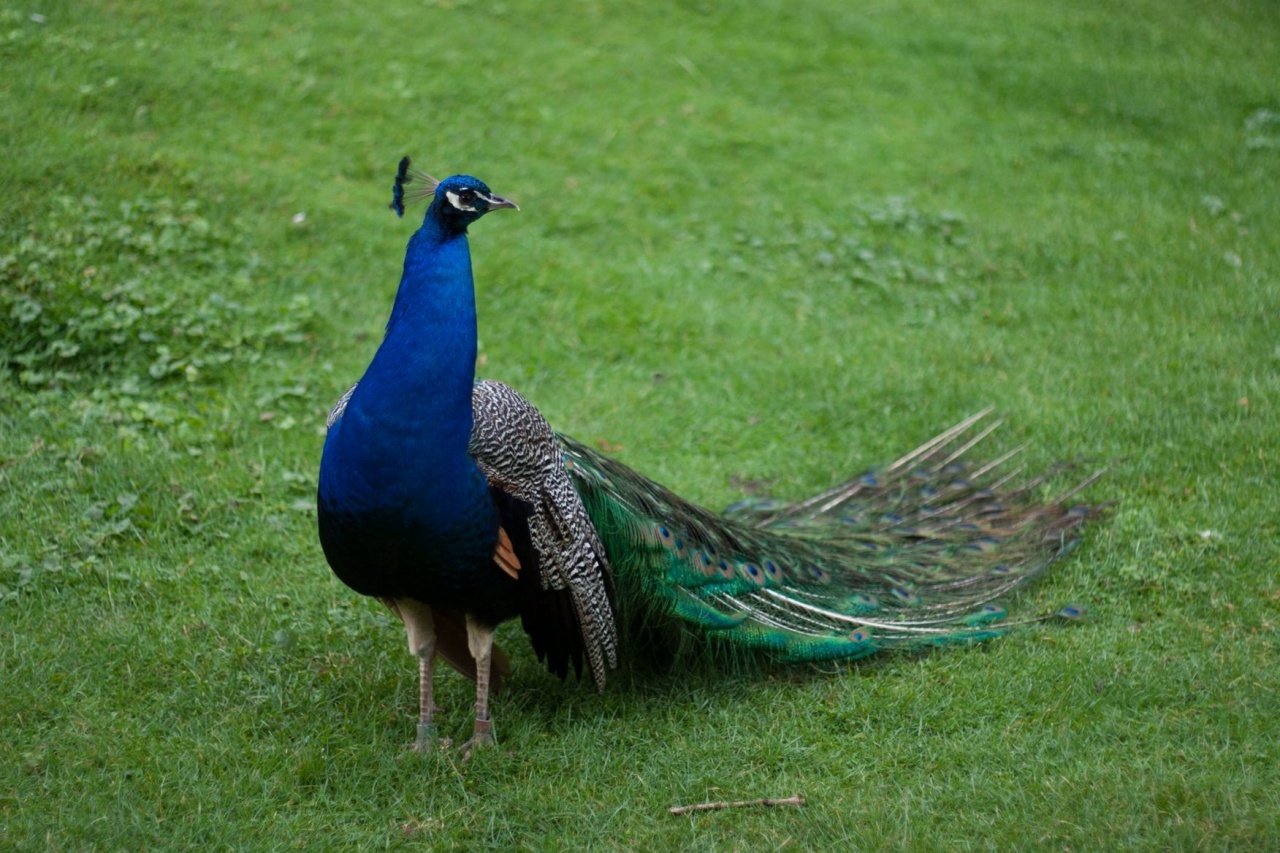 Salut a tous-_mg_1817-l.jpg