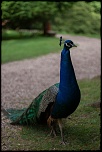 Salut a tous-_mg_1819-l.jpg
