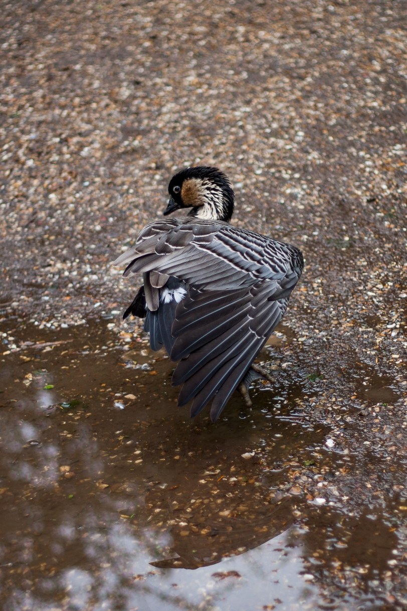 Salut a tous-_mg_1696-l.jpg