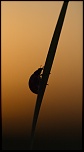 Salut a tous-img_1568.jpg