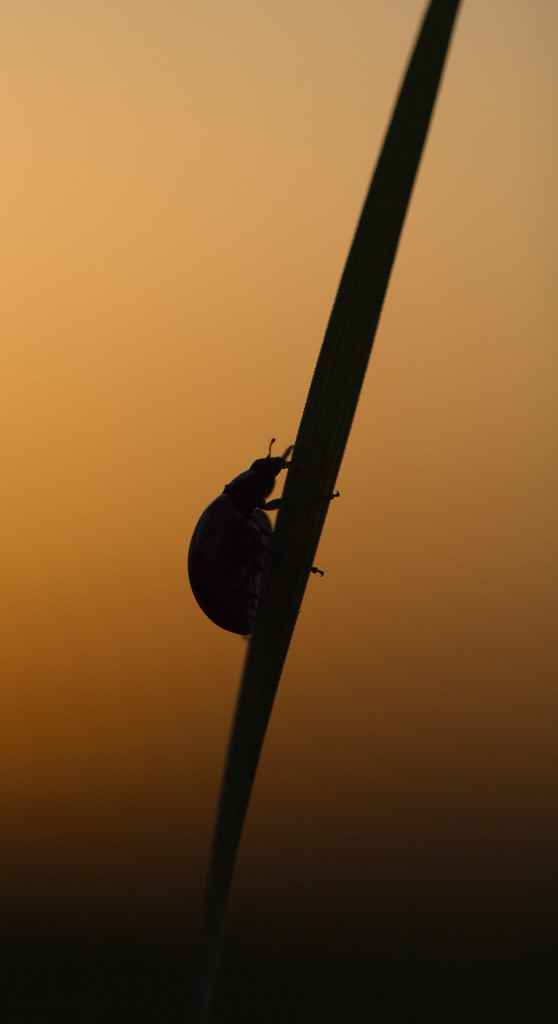 Salut a tous-img_1568.jpg