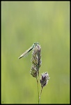 Salut a tous-img_5199.jpg