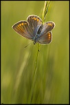 Salut a tous-img_4145.jpg