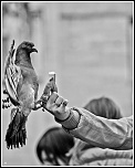 Salut a tous-img_2925.jpg