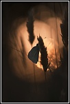 Salut a tous-img_4511.jpg