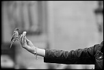 Salut a tous-img_2957.jpg
