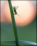 Salut a tous-img_2636.jpg